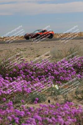 media/Jan-08-2023-SCCA SD (Sun) [[8f6a5b9391]]/Advanced Group/Session 2 (Short Straight)/